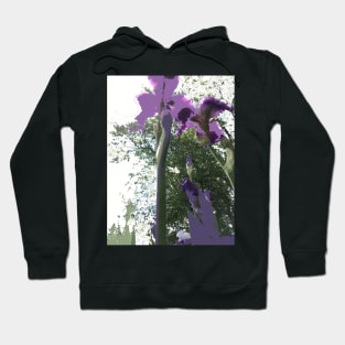 Giant Iris Stalks, photography and digital Hoodie